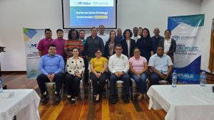 National Data Strategy