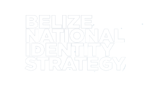 IDStrategy3-removebg-preview